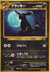 Image for Umbreon (Crossing the Ruins...) - Pokemon Japan