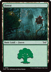 Image for Forest (0285) (Duskmourn: House of Horror) (285) - Magic: The Gathering