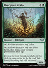 Image for Overgrown Zealot (Duskmourn: House of Horror) (193) - Magic: The Gathering