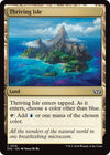 Image for Thriving Isle (Commander: Duskmourn: House of Horror) (316) - Magic: The Gathering