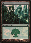 Image for Forest (The Simic Combine) (Magic Premiere Shop) (306) - Magic: The Gathering
