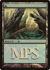 Image for Forest (2006) (Magic Premiere Shop) (5) - Magic: The Gathering