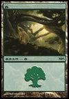 Image for Forest (2009) (Magic Premiere Shop) (5) - Magic: The Gathering