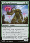 Image for Timberland Ancient (The List Reprints) (0210) - Magic: The Gathering