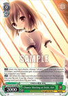 Image for Chance Meeting at Dusk, Airi (RRR) (Dengeki Bunko) (Grk/WS02-TE15R RRR) - Weiss Schwarz