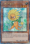 Image for Dandylion (Quarter Century Secret Rare) (Quarter Century Bonanza) (RA03-EN211) - YuGiOh
