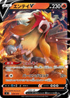 Image for Entei V - Pokemon Japan