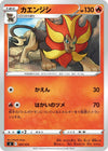 Image for Pyroar - Pokemon Japan