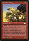 Image for Roc Hatchling (Weatherlight) - Magic: The Gathering