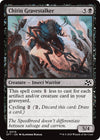Image for Chitin Gravestalker (Aetherdrift) (79) - Magic: The Gathering