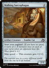 Image for Walking Sarcophagus (Aetherdrift) (246) - Magic: The Gathering