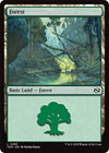 Image for Forest (0285) (Tarkir: Dragonstorm) (285) - Magic: The Gathering
