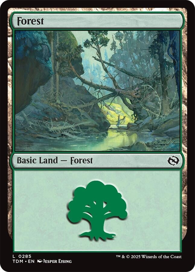 Image for Forest (0285) (Tarkir: Dragonstorm) (285) - Magic: The Gathering