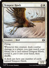 Image for Tempest Hawk (Tarkir: Dragonstorm) (31) - Magic: The Gathering