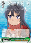 Image for Encounter at the Beach, Knapsack Kid (SR) (Rascal Does Not Dream Series) (SBY/W114-E035S SR) - Weiss Schwarz