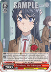 Image for Graduate, Mai Sakurajima (SR) (Rascal Does Not Dream Series) (SBY/W114-E066S SR) - Weiss Schwarz