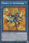 Image for Nekroz of Areadbhair (Battles of Legend: Monster Mayhem) (BLMM-EN135) - YuGiOh