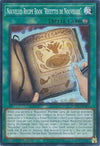 Image for Nouvelles Recipe Book "Recettes de Nouvellez" (Duelist's Advance) (DUAD-EN067) - YuGiOh