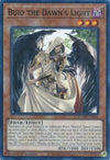 Image for Buio the Dawn's Light (Duelist's Advance) (DUAD-EN081) - YuGiOh