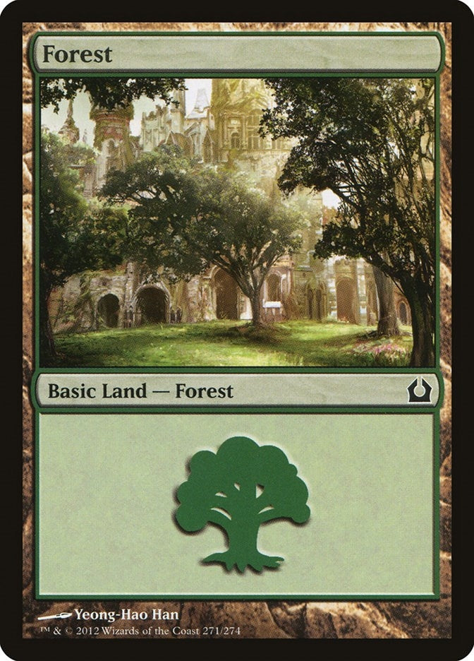 Image for Forest (271) (Return to Ravnica) (271) - Magic: The Gathering