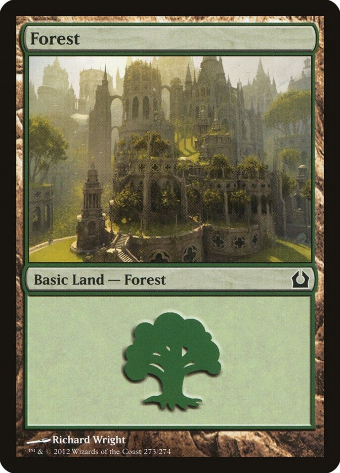 Image for Forest (273) (Return to Ravnica) (273) - Magic: The Gathering