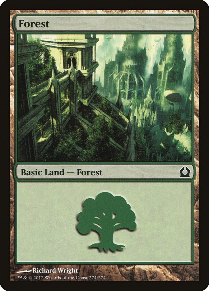 Image for Forest (274) (Return to Ravnica) (274) - Magic: The Gathering