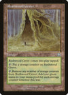 Image for Rushwood Grove (Mercadian Masques) (325) - Magic: The Gathering
