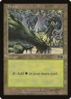 Image for Forest (350) (Urza's Saga) (350) - Magic: The Gathering