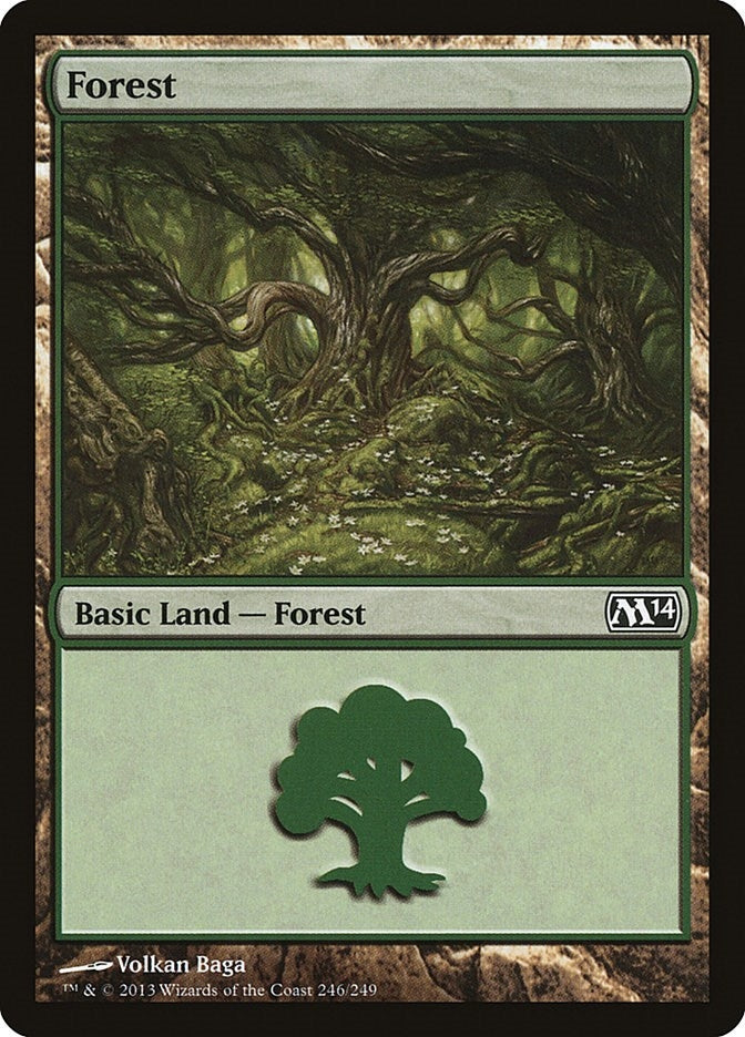 Image for Forest (246) (Magic 2014 (M14)) (246) - Magic: The Gathering