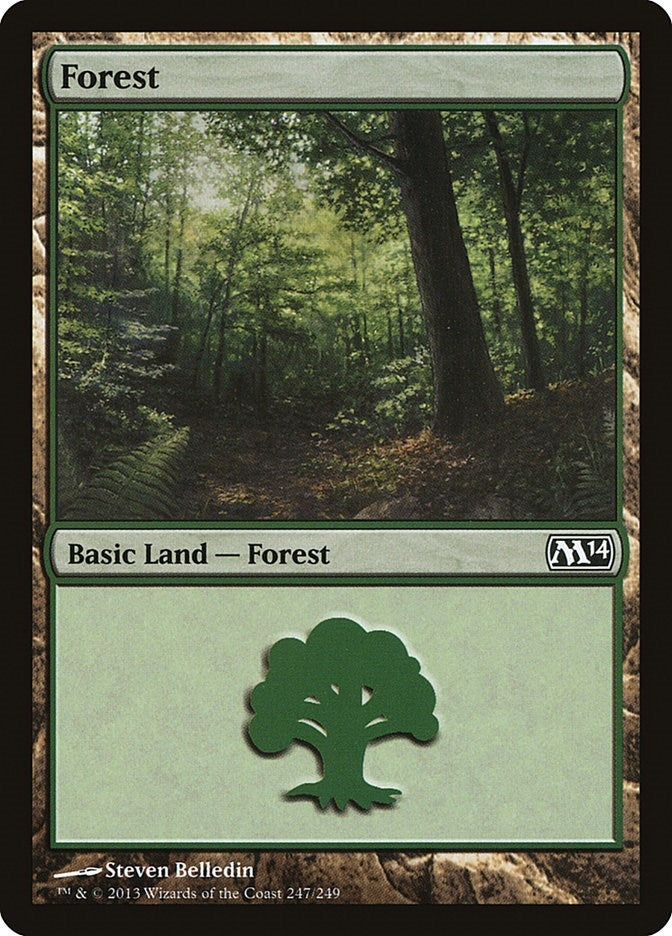 Image for Forest (247) (Magic 2014 (M14)) (247) - Magic: The Gathering