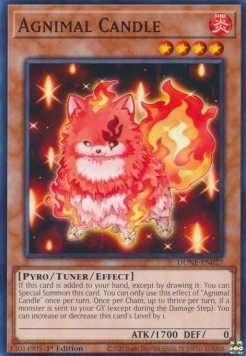 Agnimal Candle - Duelist Nexus (Common) [DUNE-027]