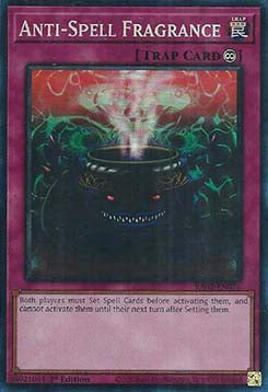 Anti-Spell Fragrance (V.6 - Collectors Rare) - 25th Anniversary Rarity Collection II (Collectors Rare) [RA02-076]