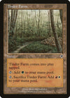 Image for Tinder Farm (Invasion) (329) - Magic: The Gathering