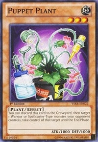 Image for Puppet Plant (Starter Deck: Kaiba Reloaded) (YSKR-EN022) - YuGiOh