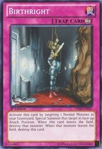 Image for Birthright (Starter Deck: Kaiba Reloaded) (YSKR-EN047) - YuGiOh