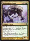 Image for Drooling Groodion (Duel Decks: Jace vs. Vraska) (65) - Magic: The Gathering