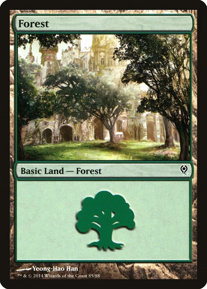 Image for Forest (85) (Duel Decks: Jace vs. Vraska) (85) - Magic: The Gathering