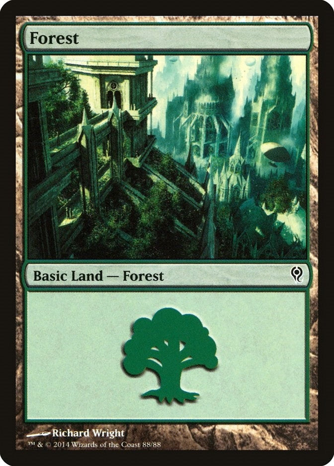 Image for Forest (88) (Duel Decks: Jace vs. Vraska) (88) - Magic: The Gathering