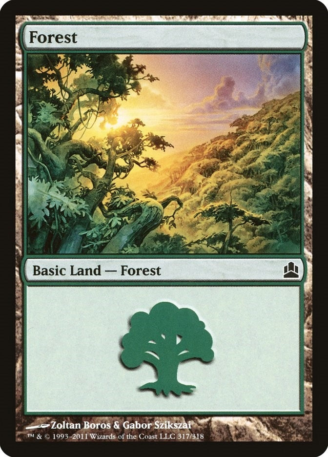Image for Forest (317) (Commander) (317) - Magic: The Gathering