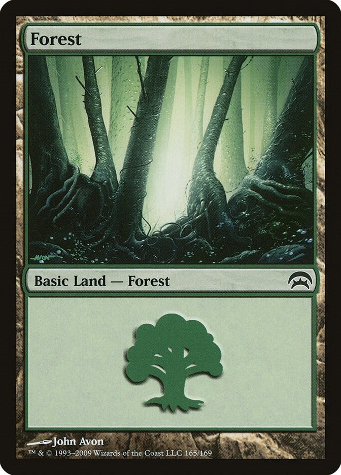 Image for Forest (165) (Planechase) (165) - Magic: The Gathering