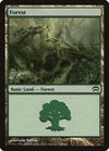 Image for Forest (166) (Planechase) (166) - Magic: The Gathering