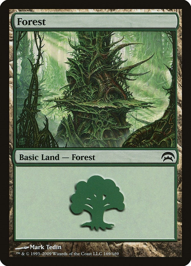 Image for Forest (169) (Planechase) (169) - Magic: The Gathering