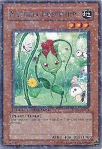 Image for Naturia Rosewhip (Duel Terminal 2) (DT02-EN071) - YuGiOh