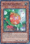 Image for Naturia Ladybug (Duel Terminal 4) (DT04-EN030) - YuGiOh