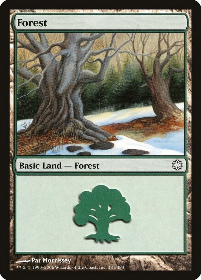 Image for Forest (381) (Coldsnap Theme Deck Reprints) (381) - Magic: The Gathering