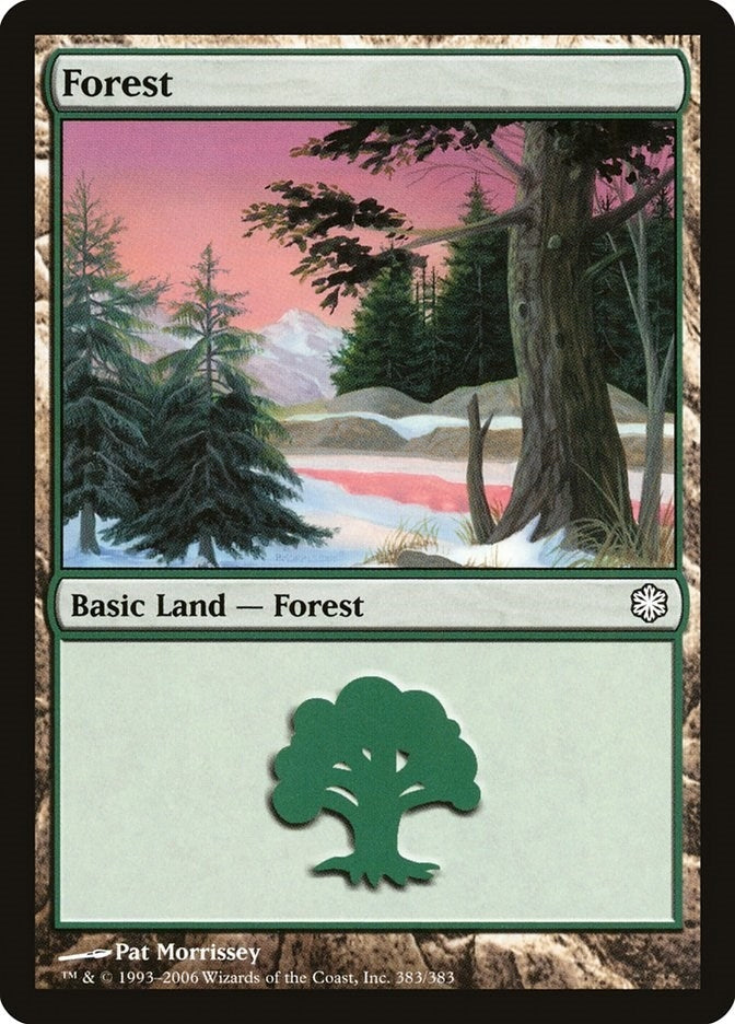 Image for Forest (383) (Coldsnap Theme Deck Reprints) (383) - Magic: The Gathering