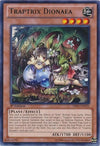 Image for Traptrix Dionaea (Primal Origin) (PRIO-EN025) - YuGiOh