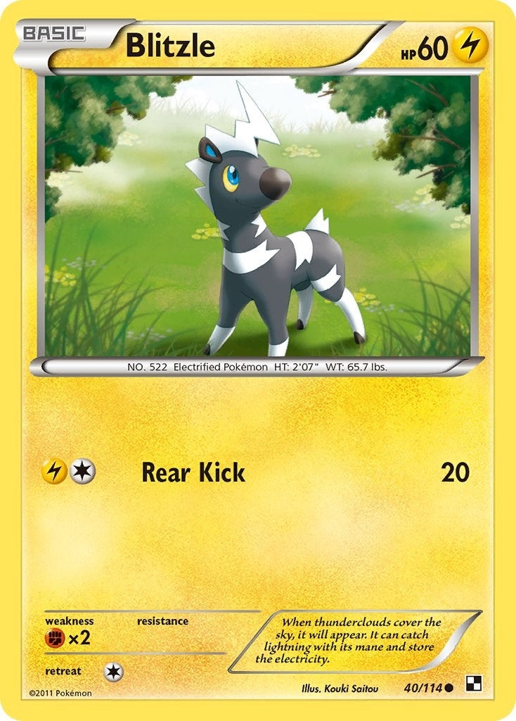 Image for Blitzle (40) (Black and White) (40/114) - Pokemon