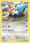 Image for Herdier (XY Base Set) (109/146) - Pokemon