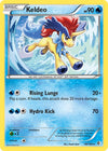 Image for Keldeo (48) (Boundaries Crossed) (48/149) - Pokemon
